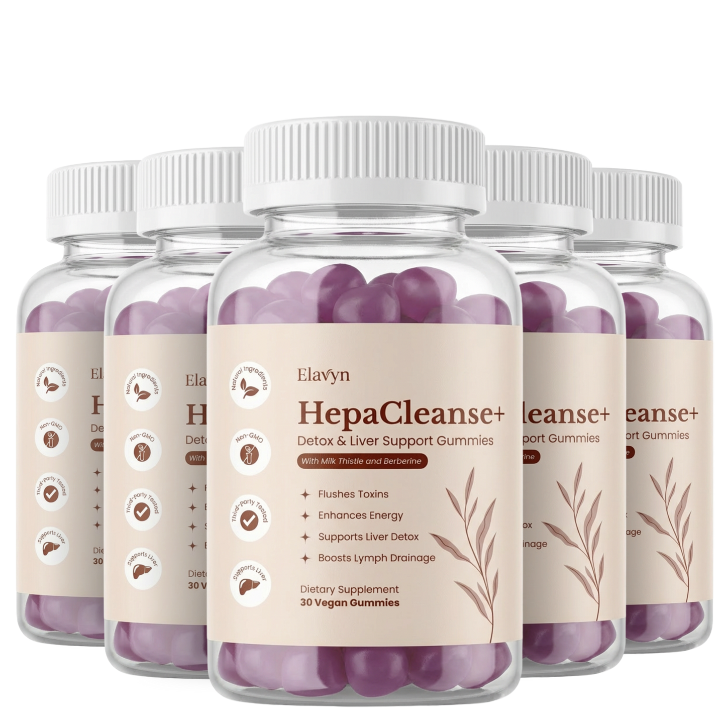 Elavyn | 6-Pack HepaCleanse+